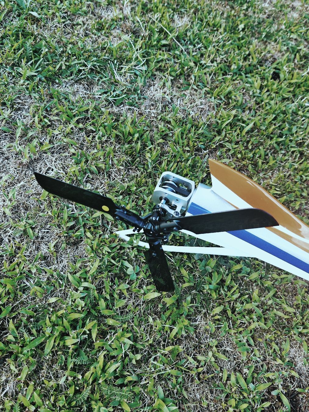 Kit di modellismo & Modellini statici: Staysee + XLPower wraith V1 – Usato da agarone venduto da Lar65