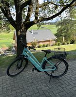 E-Bike Specialized Como Mintgrün Damenvelo