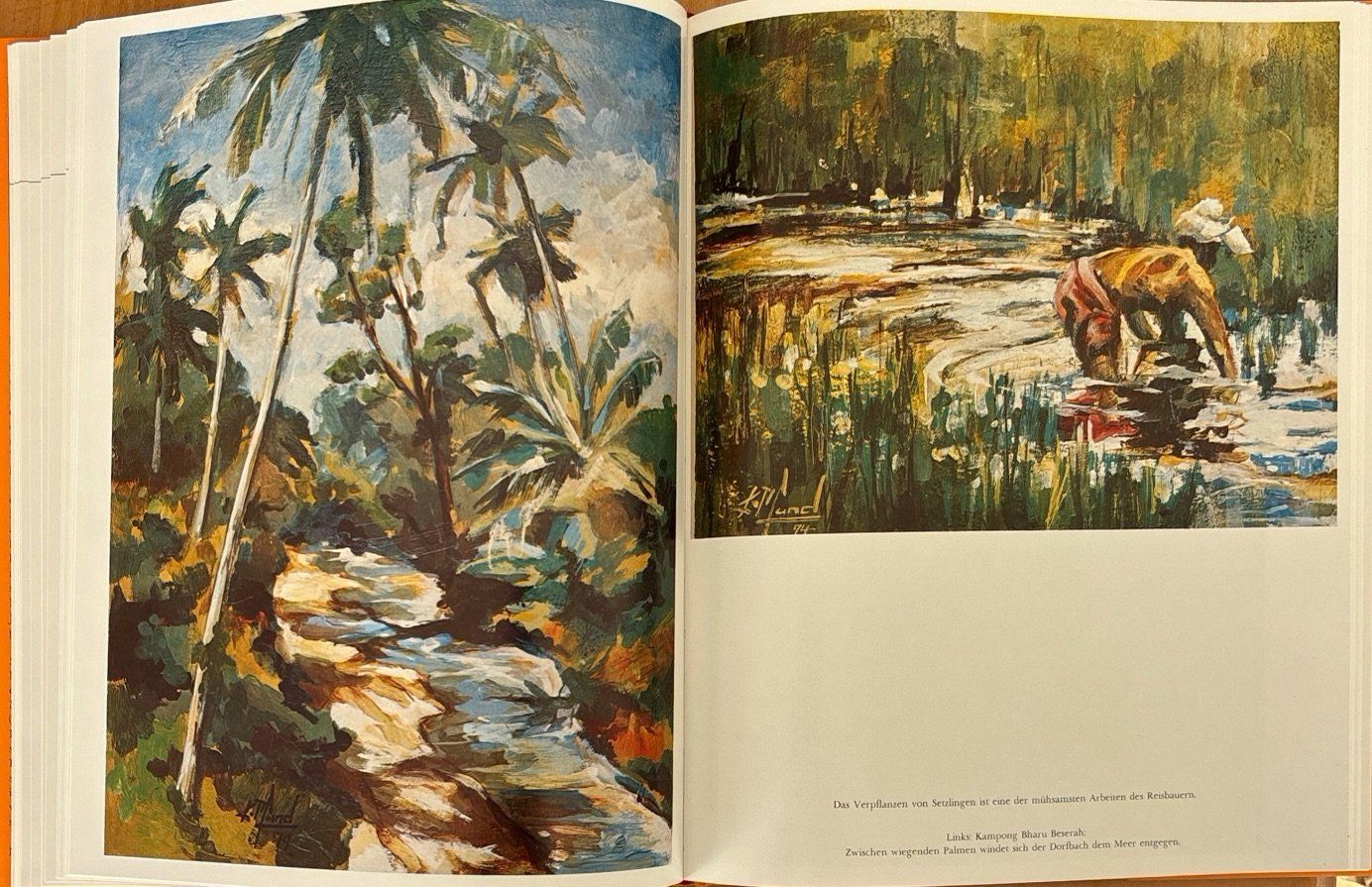 Libri: Malaysia Singapur – Nuovo (secondo la descrizione) da Sarnen venduto da Livres 5