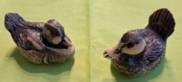 Exklusiv: 2 feinst bemalte Enten  North American Waterfowl