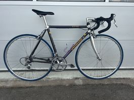 Specialized Allez Epic Rennvelo
