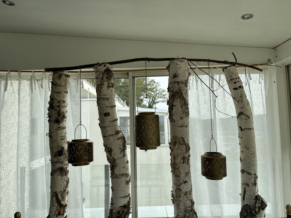Toutes les décorations: Birkenstämme  4 Stück – D'occasion à Beringen par Ally7