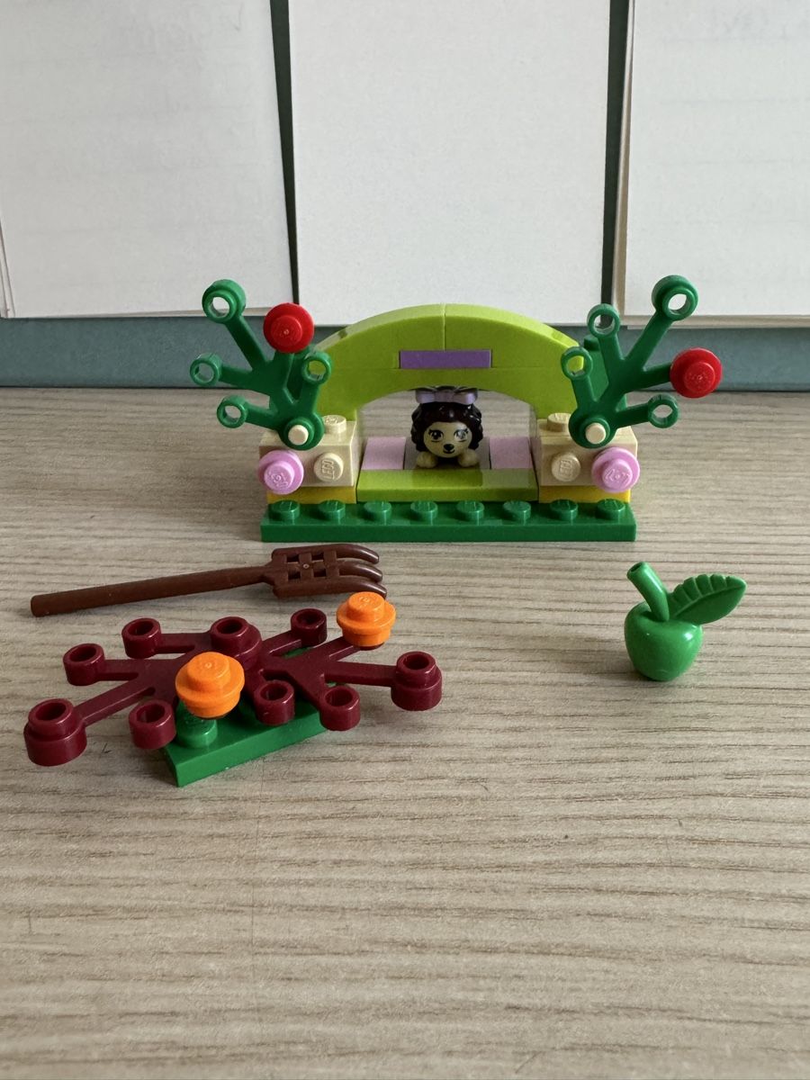 Lego Giocattoli: LEGO Friends Igel Set – Usato da Unterengstringen venduto da JSuisse 1