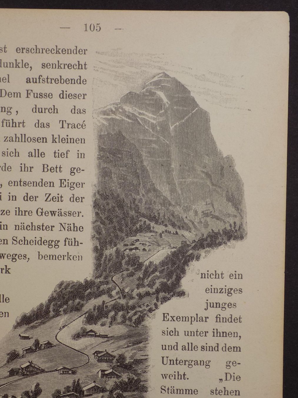 Incisioni: Grindelwald Bahnen – Usato da Risch venduto da Rischli15 2