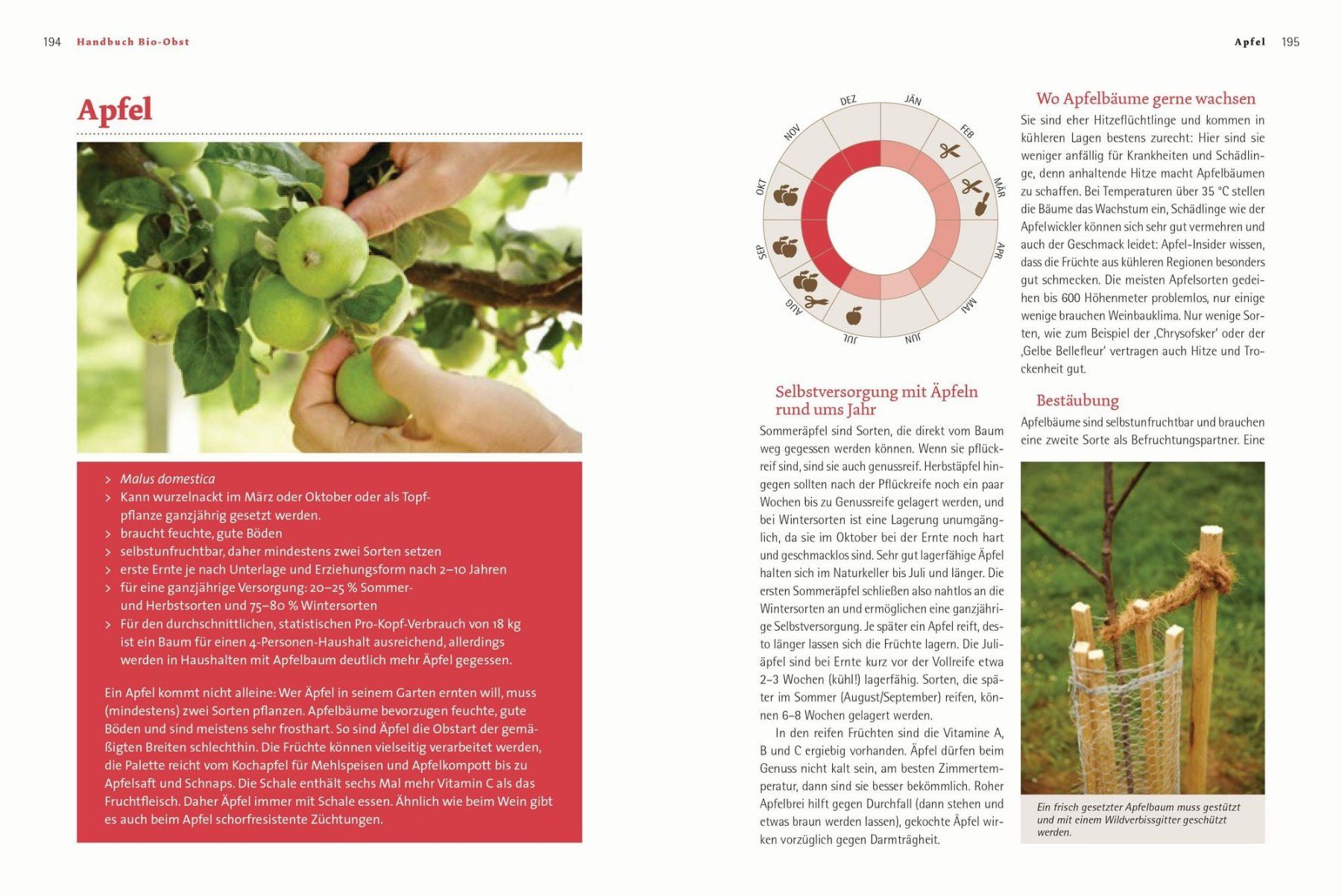 Libri: Handbuch Bio-Obst – Nuovo e nell'imballaggio originale da Unterkulm venduto da jenswolk 1