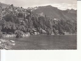 Gunten ca. 1950