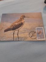 Carte postale oiseau migrateur et timbre Venda 1984 30c