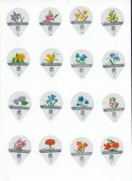 Taiwan, 01H Blumen  kurzer Text