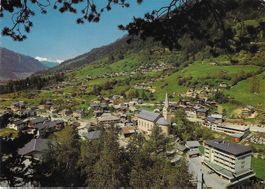 Fiesch VS