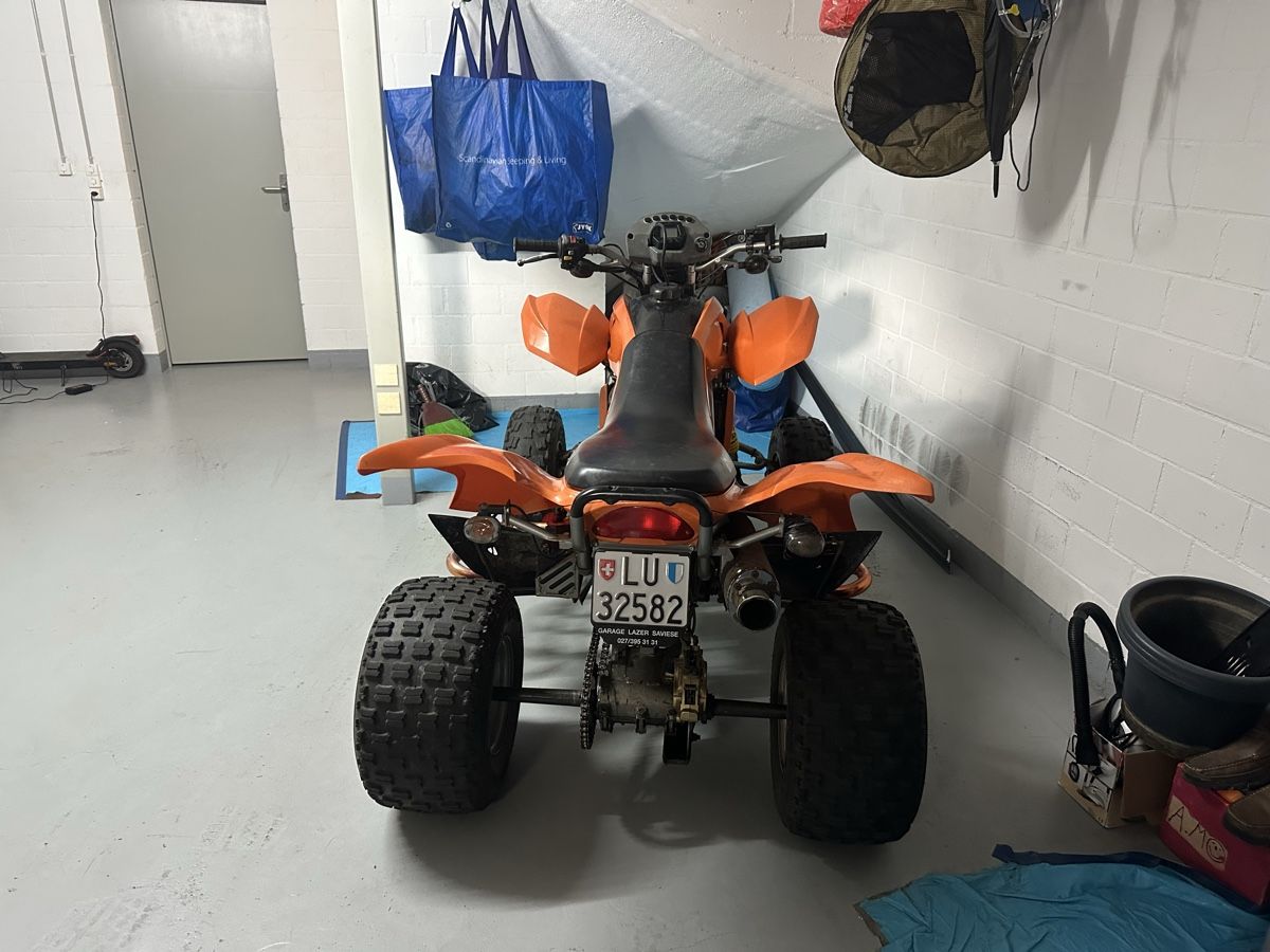 Dinli ATV / Quad: Quad Dinli Dmx 450 2006 – Usato da Geuensee venduto da Besi6232 2