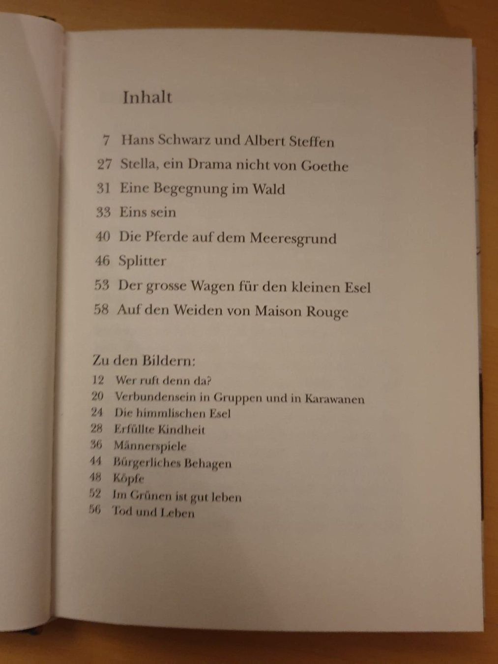 Libri: Kleine Pferdegeschichten – Usato da Langnau am Albis venduto da jer_pm72 3