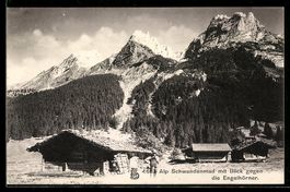 AK Meiringen, Alp Schwandenmad mit Blick gegen die Engelhörn