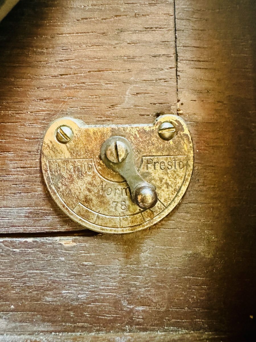 Giradischi: Funktionfähiges Grammophon – Usato da Cham venduto da matap1 7