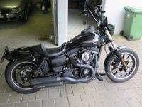 Harley-Davidson FXDLS