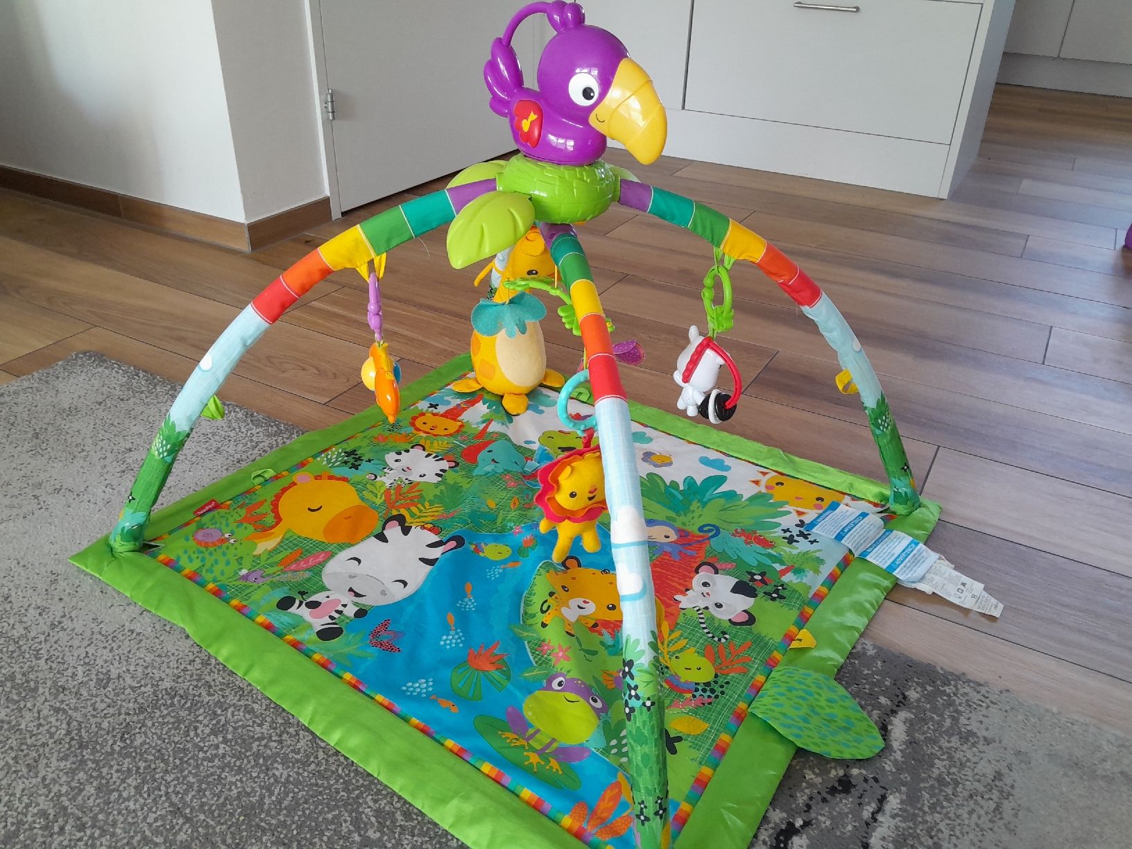 Fisher-Price Spielmatte: Fisher price reinforest erlebnisdecke – Gebraucht aus Walde AG von tra_7vrt
