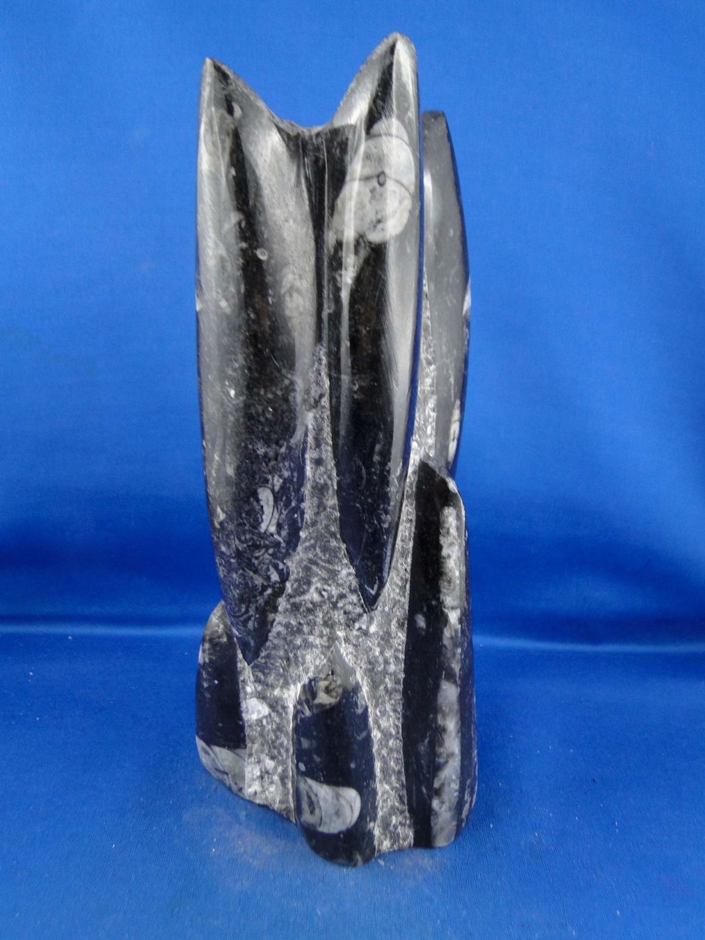 Fossili: Orthoceras Skulptur – Usato da Schinznach Bad venduto da Demerald 3