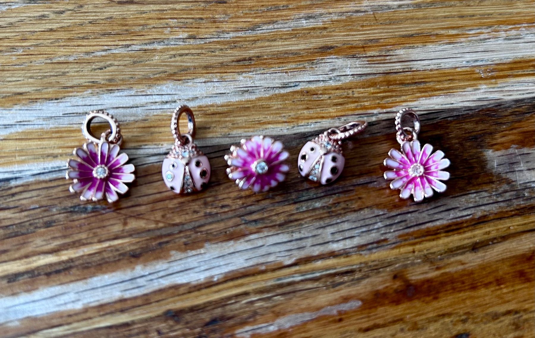 Pandora Anhänger: set aus 5 pandora anhänger – Neu (gemäss Beschreibung) aus flims dorf von schmetterling61281