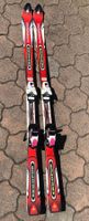 Ski Kneissl Ergopur