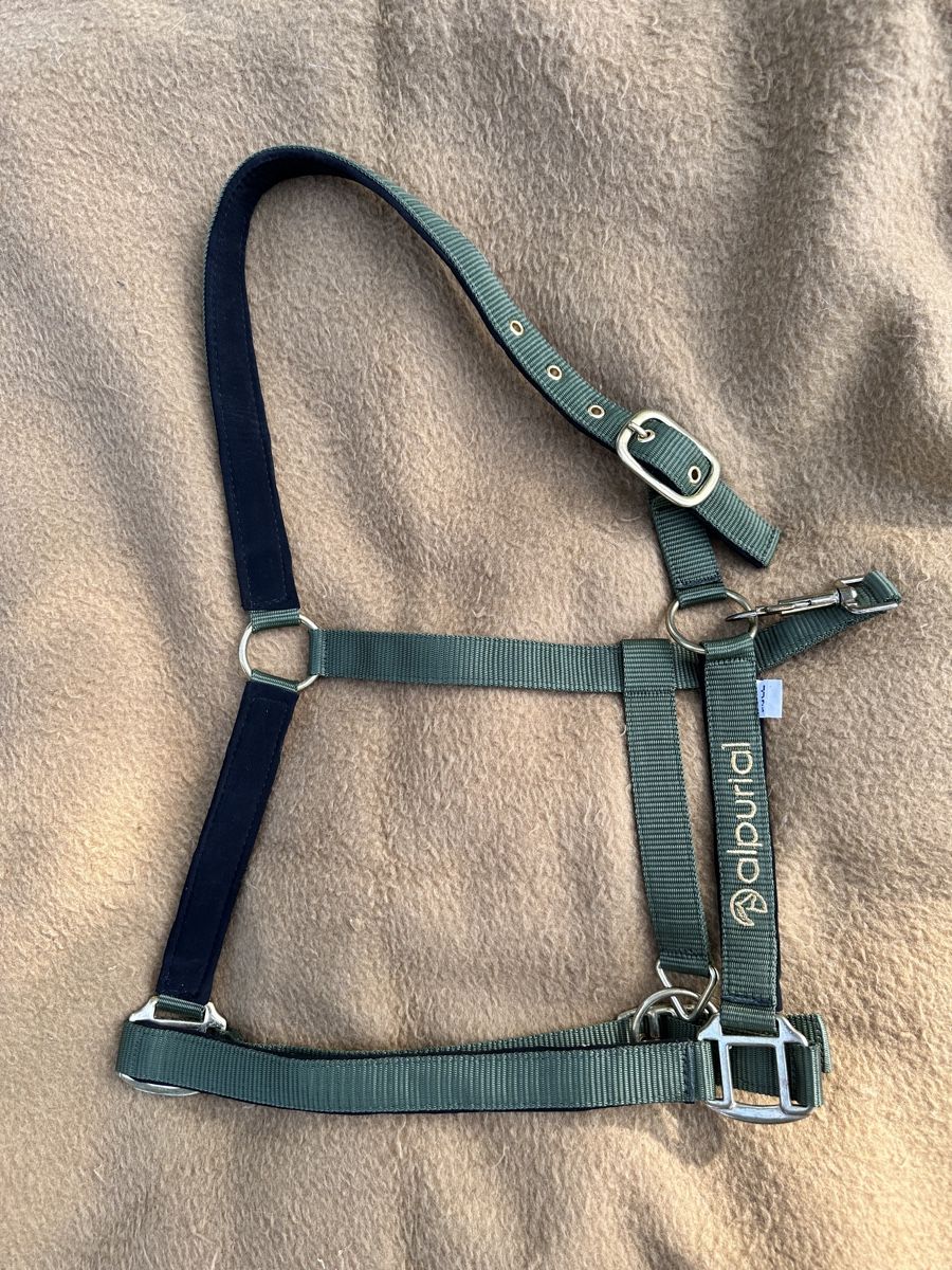 Zaumzeug & Halfter: Halfter FULL – Neu (gemäss Beschreibung) aus Wolfhalden von Itss_michelle03
