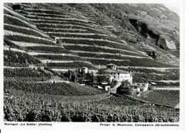 Weingut la Gatta Veltlin /G. Mascioni Campascio GR