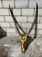 Wasserbock Trophäe 3