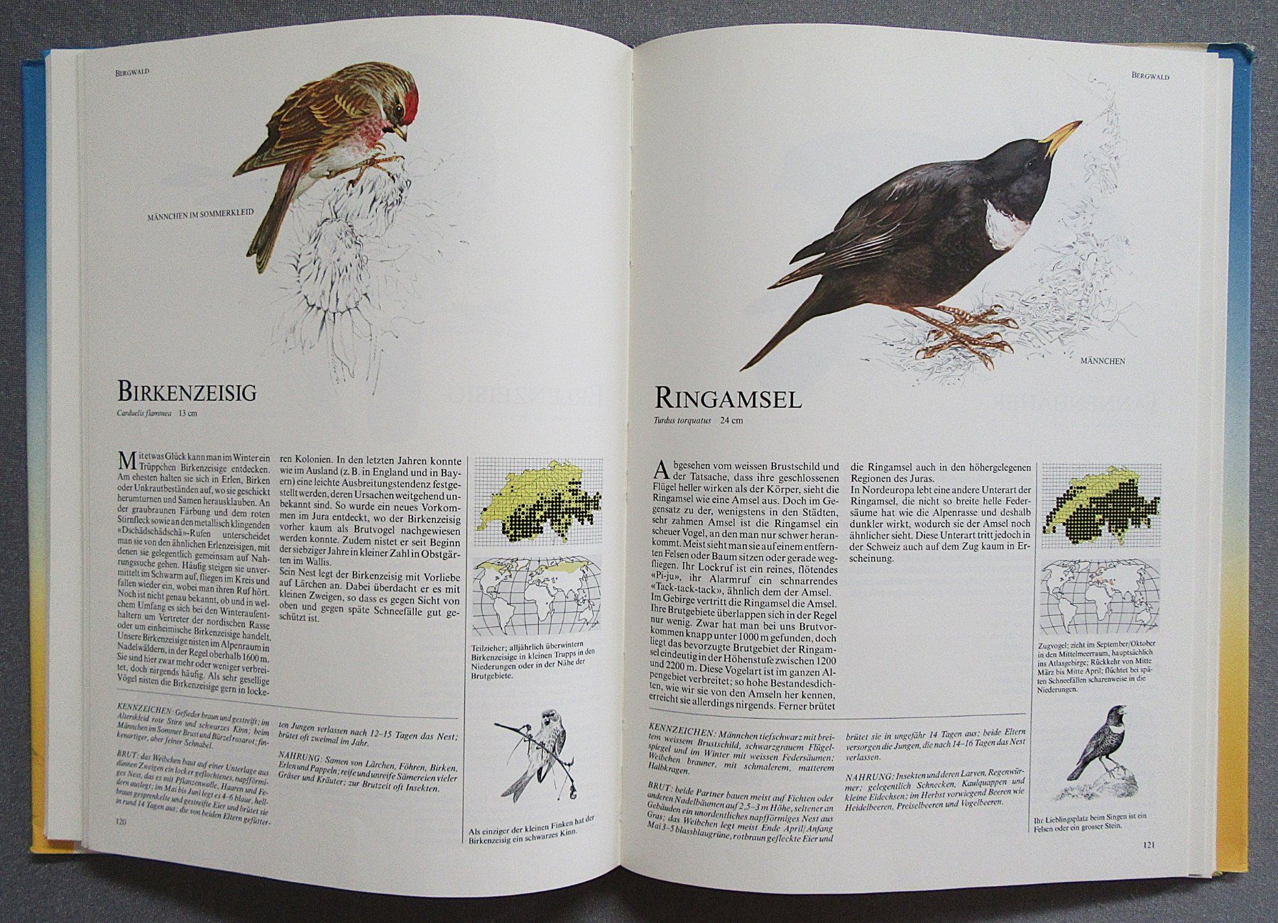 Bücher: Die häufigsten Vogelarten der Schweiz - in Text und Bild – Gebraucht aus Auenstein von Padabimbim 7