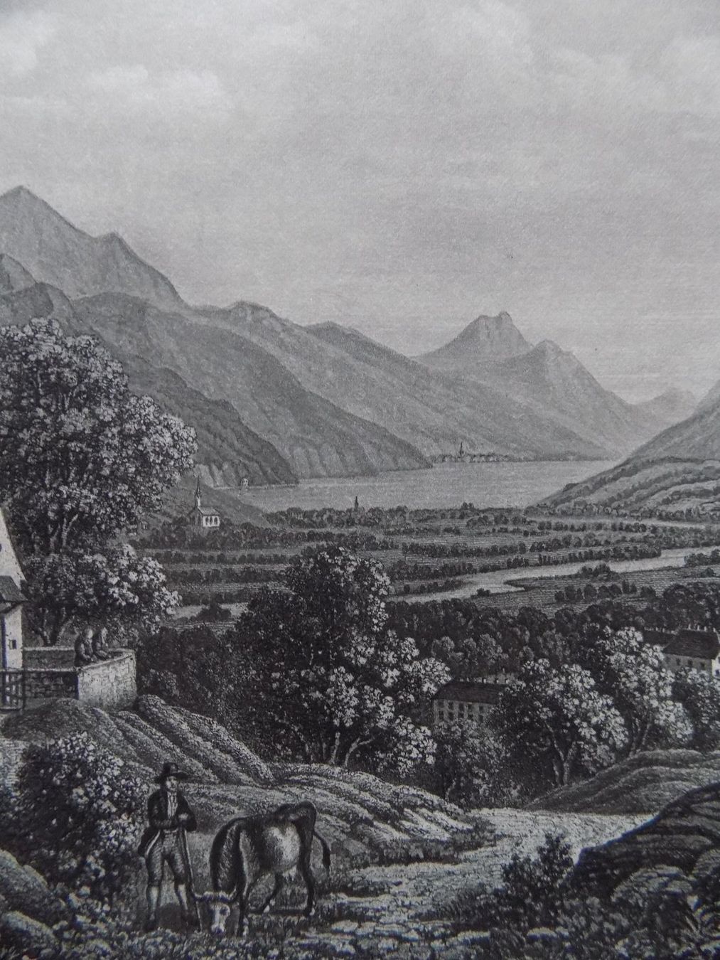 Incisioni: Environs de Schwyz – Usato da Risch venduto da Rischli15 4