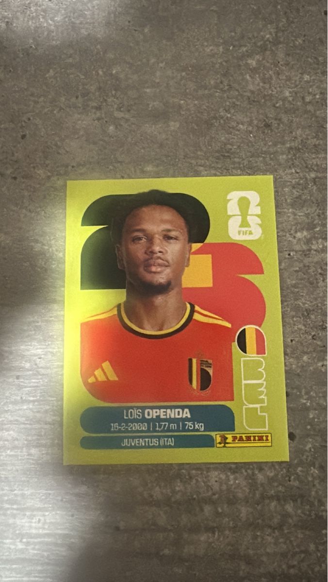 Panini Carte collezionabili: BEL 19 , FIFA WORLD CUP 2026 PANINI  – Nuovo (secondo la descrizione) da Frauenfeld venduto da 1PegPeg1