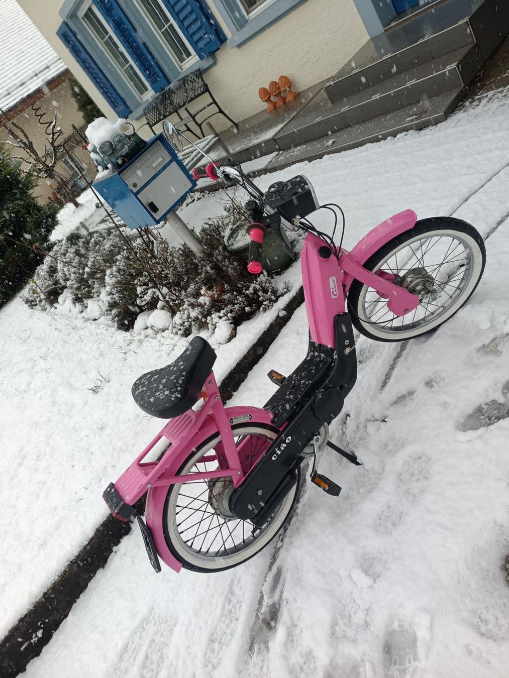 Piaggio Ciclomotori: Mofa Piaggio Ciao, Oldtimer Neu aufgebaut Pink – Nuovo (secondo la descrizione) da Oberkulm venduto da ontario92 1