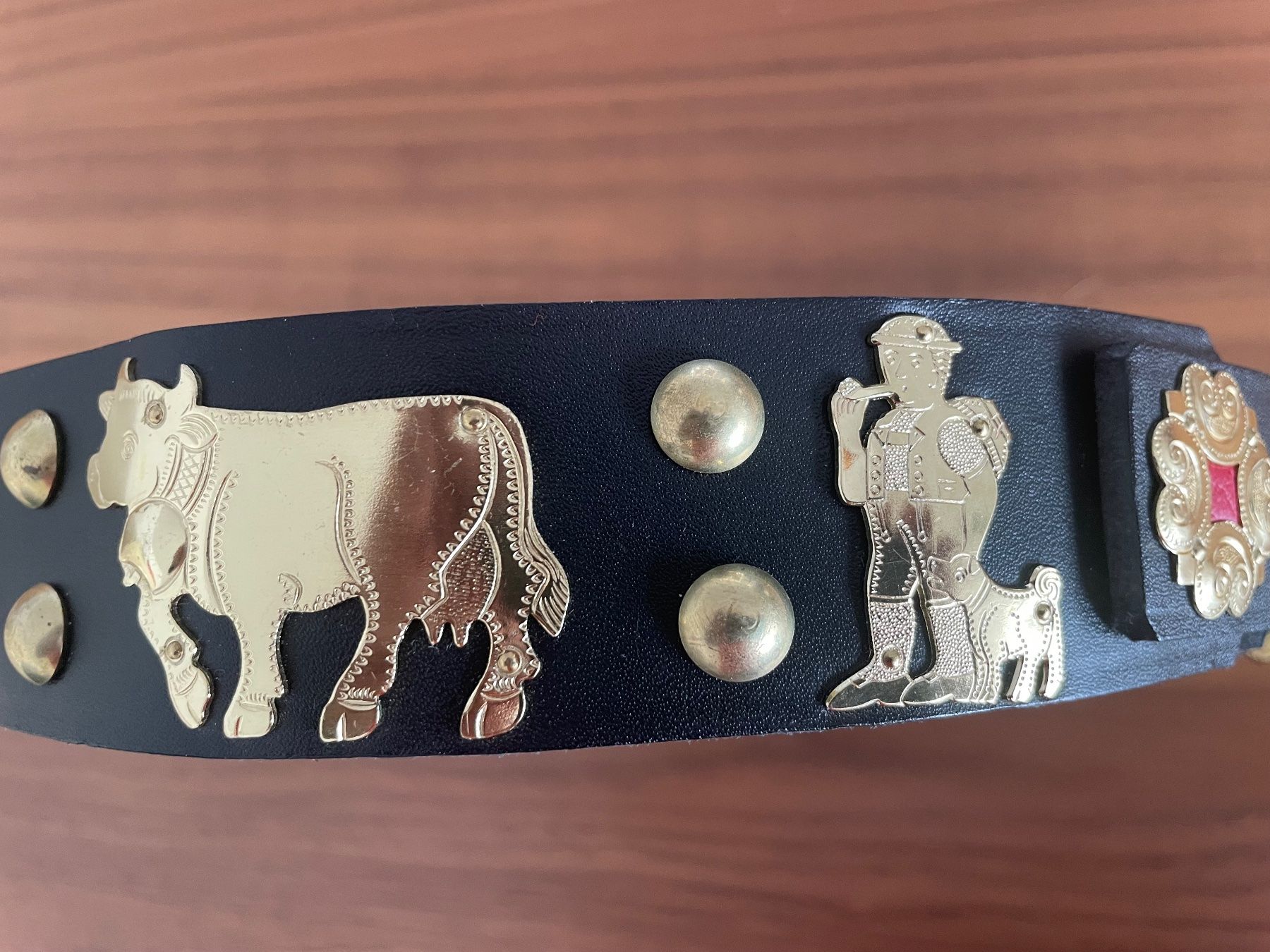 Nastri decorativi: Echtes Appenzeller Hundehalsband – Usato da Pfäffikon ZH venduto da Carlo020 2