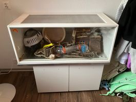 Hamster-Käfig Terrarium