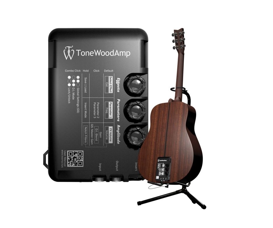 Amplificatori: Tone wood amp – Usato da Greng venduto da mjg_67wd 2