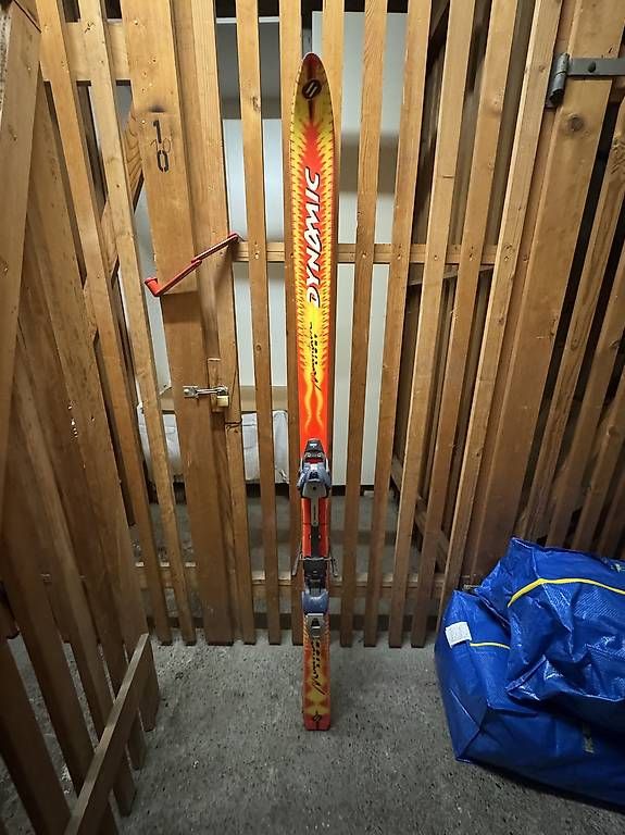 Skis: Ski – Gebraucht aus Zürich von esr_gj2w