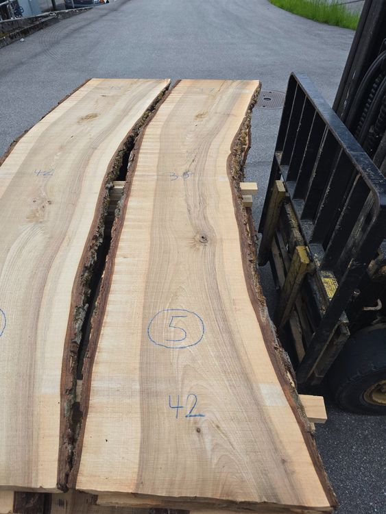 Articoli in legno: Nussbaumbrett Nr 5 – Nuovo (secondo la descrizione) da Lützelflüh-Goldb venduto da ch.waelchli-holz.ch