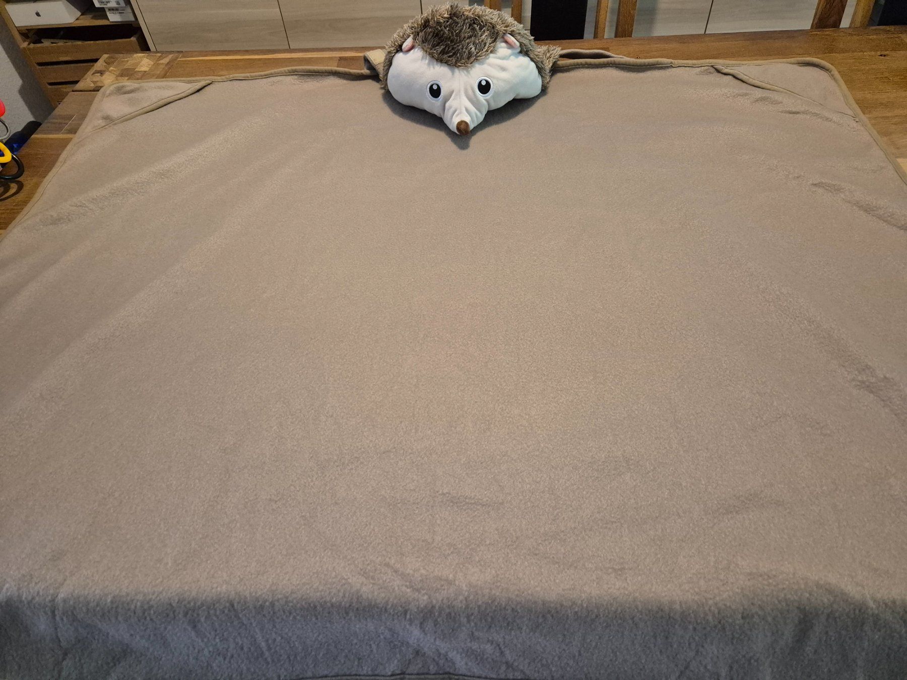 Coop Coperte: neu: Igel Kuscheldecke (Coop Trophy) – Nuovo (secondo la descrizione) da Urtenen-Schönbühl venduto da Lari1 1