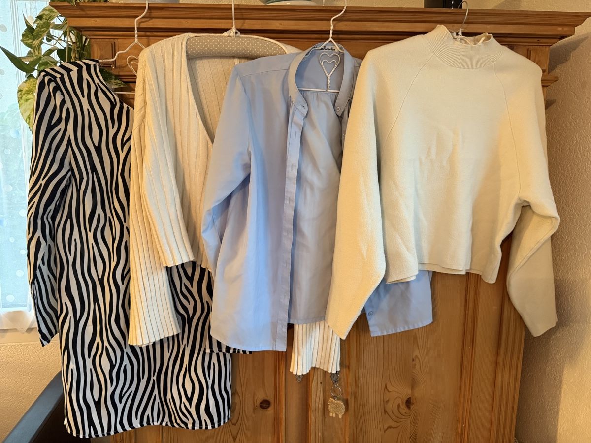 Lotti di vestiti: Mega-Kleiderpaket mit 35 Teilen  – Nuovo (secondo la descrizione) da Möhlin venduto da Palessandro91 8