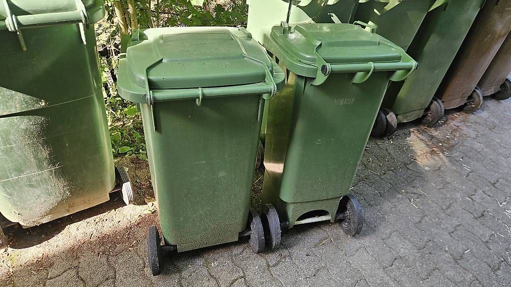 Autres: Grüncontainer – D'occasion à Bronschhofen par si.quero 2