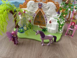 Playmobil Fairies - Zauberfeenland