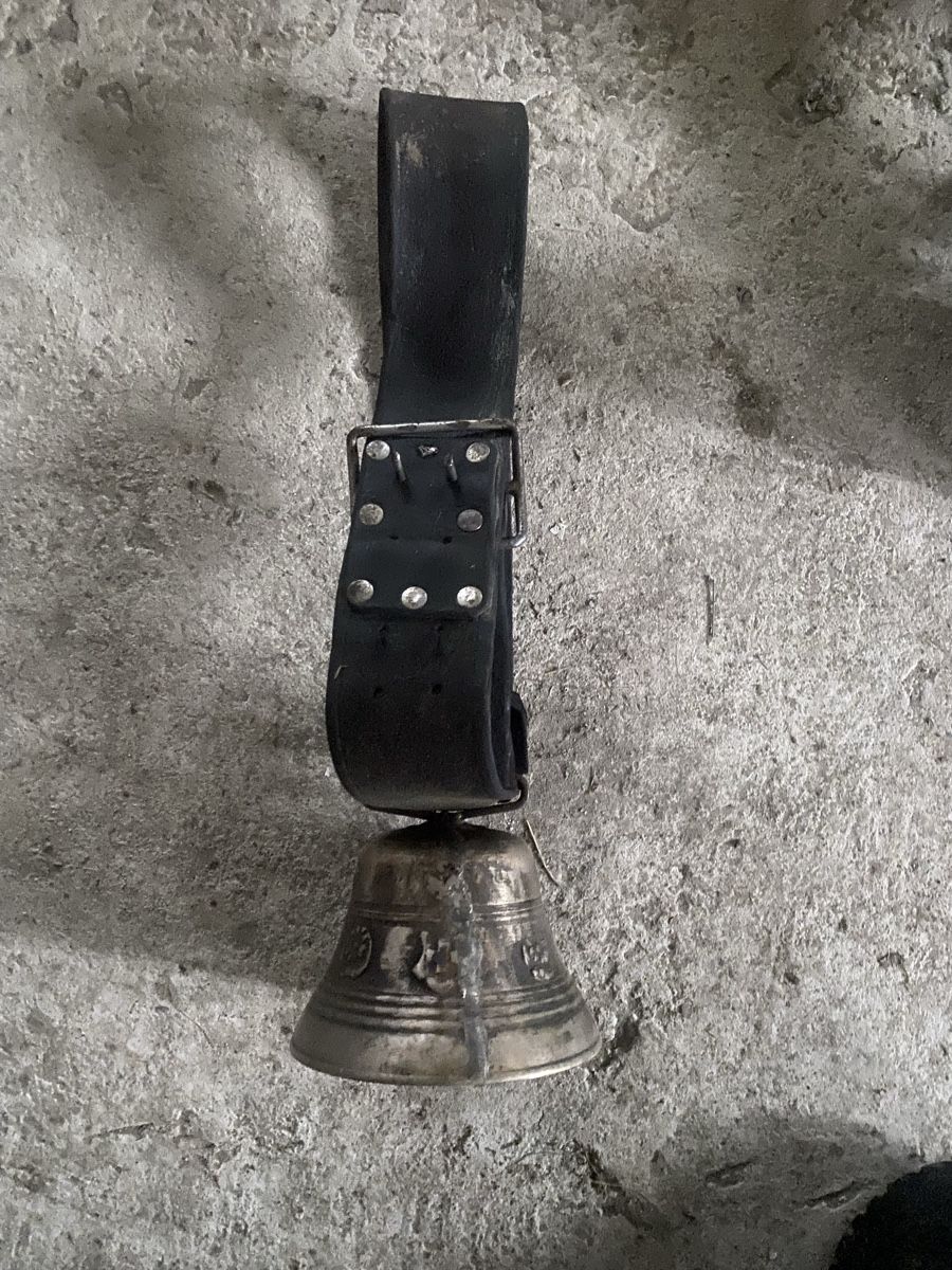 Campanacci mucche: Glocke Schelle – Usato da Menzingen venduto da Edelmuni7 3