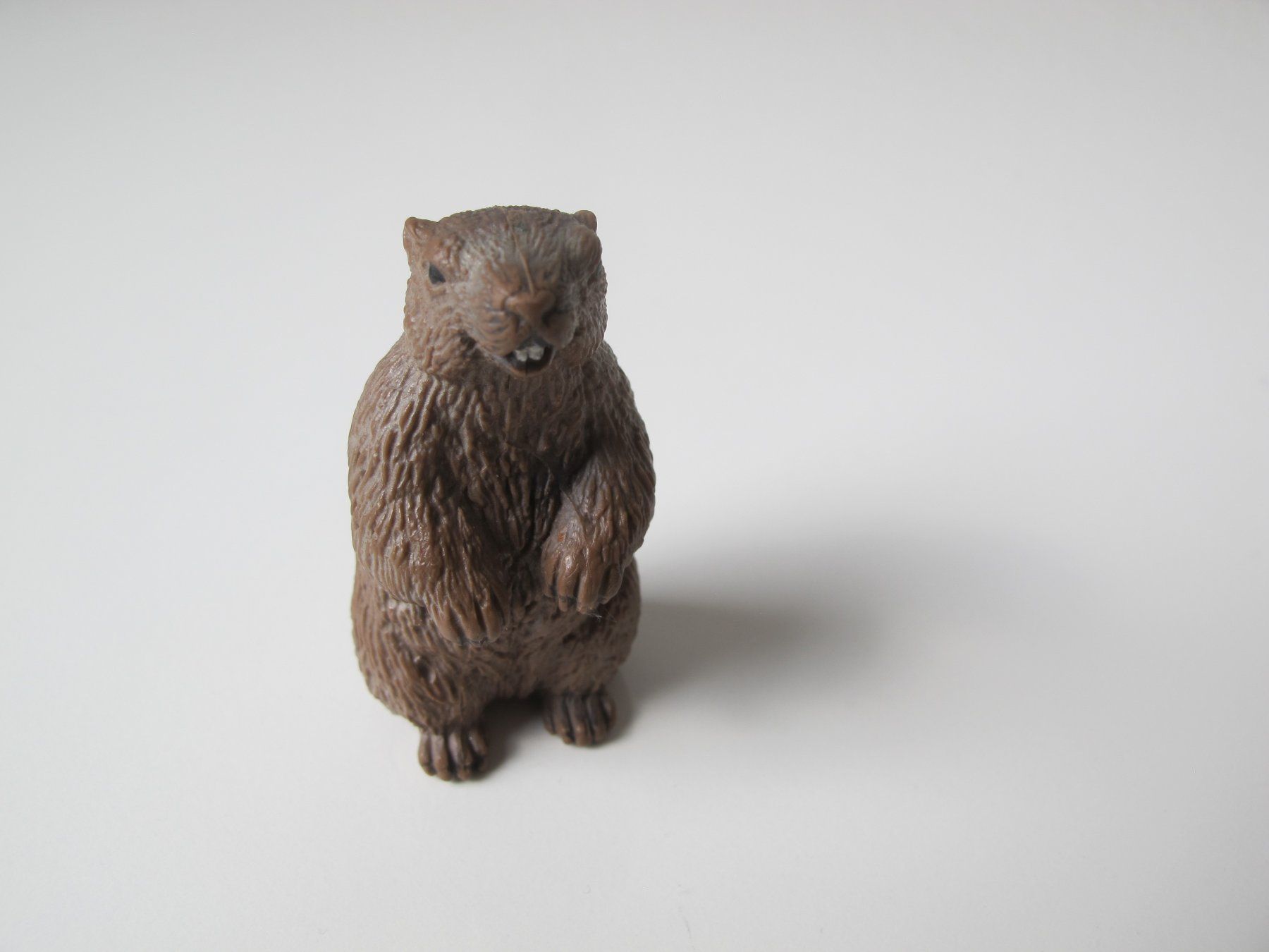 Schleich Statuette: Schleich 14230 Murmeltier – Usato da Vilters venduto da hedi00 4