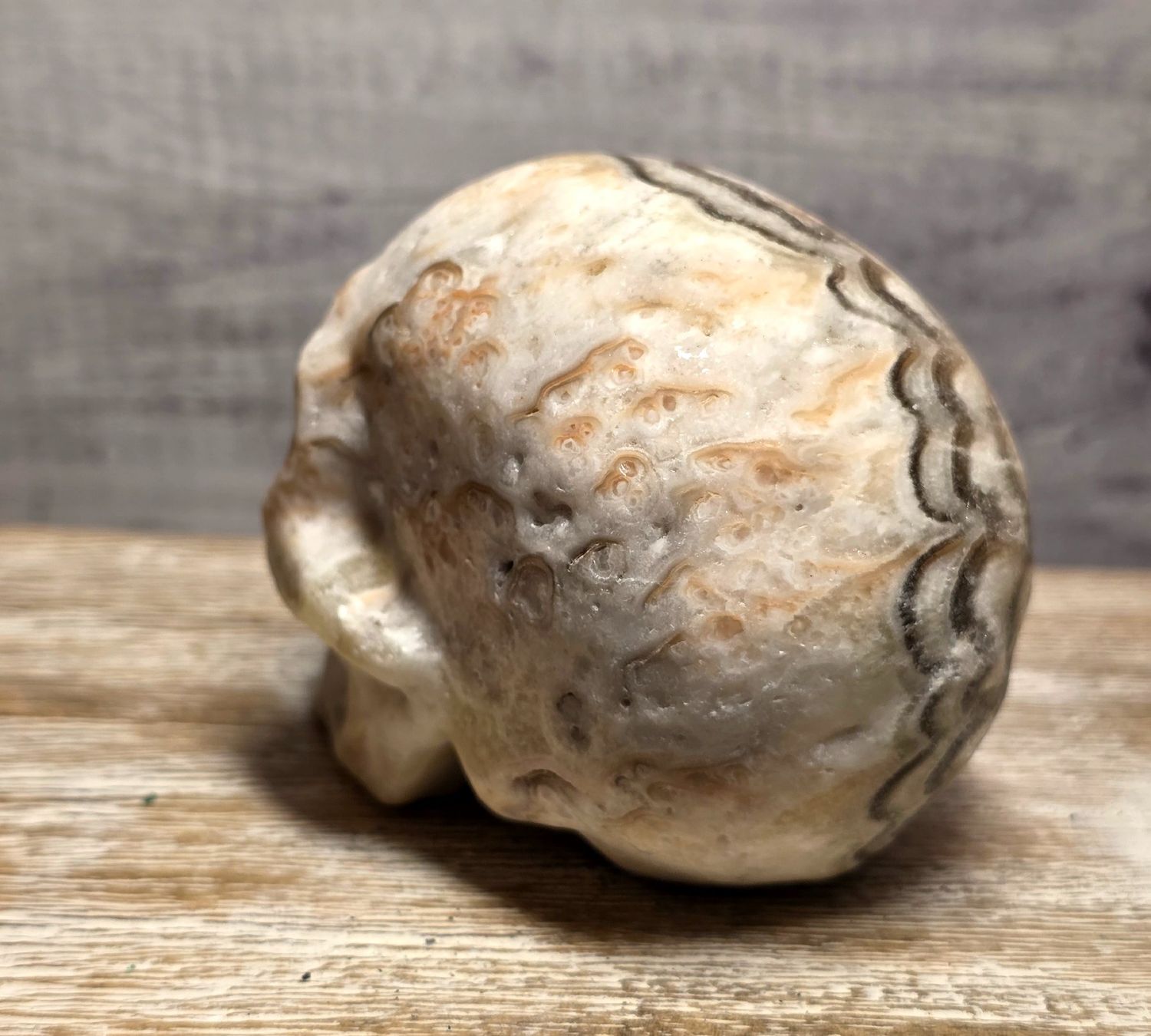 Minerali & Pietre curative: Calcit Schädel 600g – Nuovo e nell'imballaggio originale da Matzingen venduto da Shay_Crystalz 2