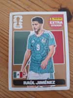 Raul Jimenez Bronze panini 2026