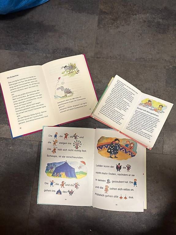 Libri: Leselöwe - 1. Lesebücher – Usato da Rueras venduto da fscw 2