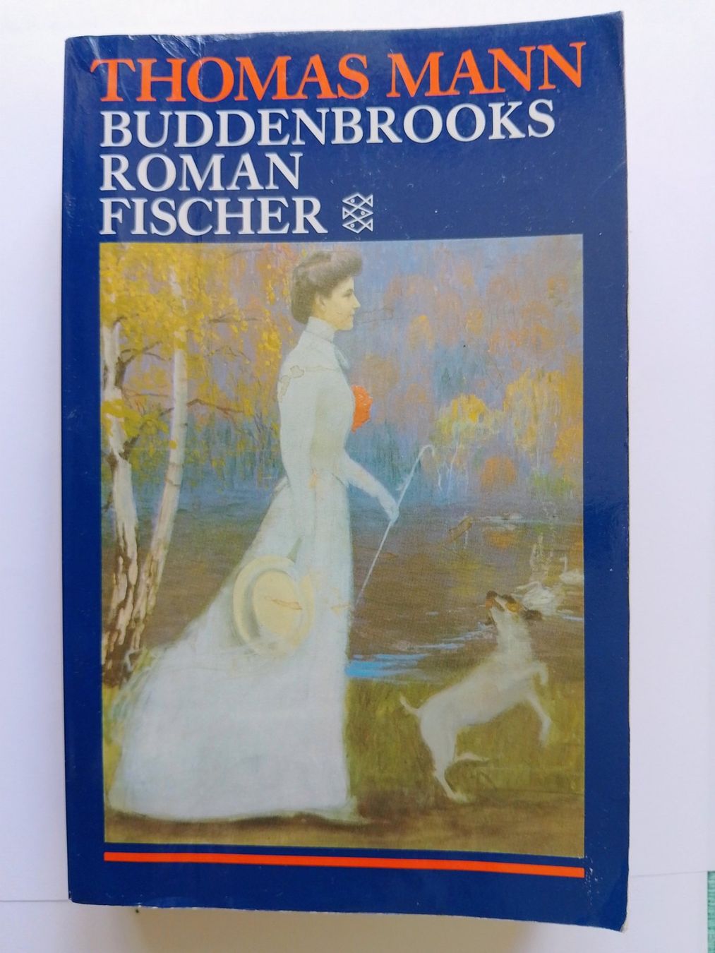 Bücher: Thomas Mann : Buddenbrooks | Verfall einer Familie. BUCH – Gebraucht aus Zürich von Flitzi2005