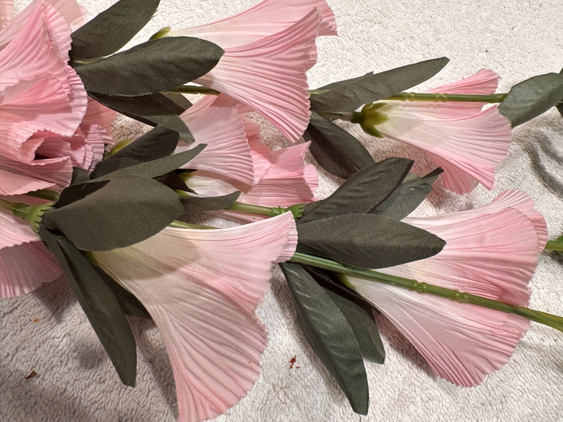 Piante & sementi: Blumen rosa – Usato da Laupen ZH venduto da Mcafi02