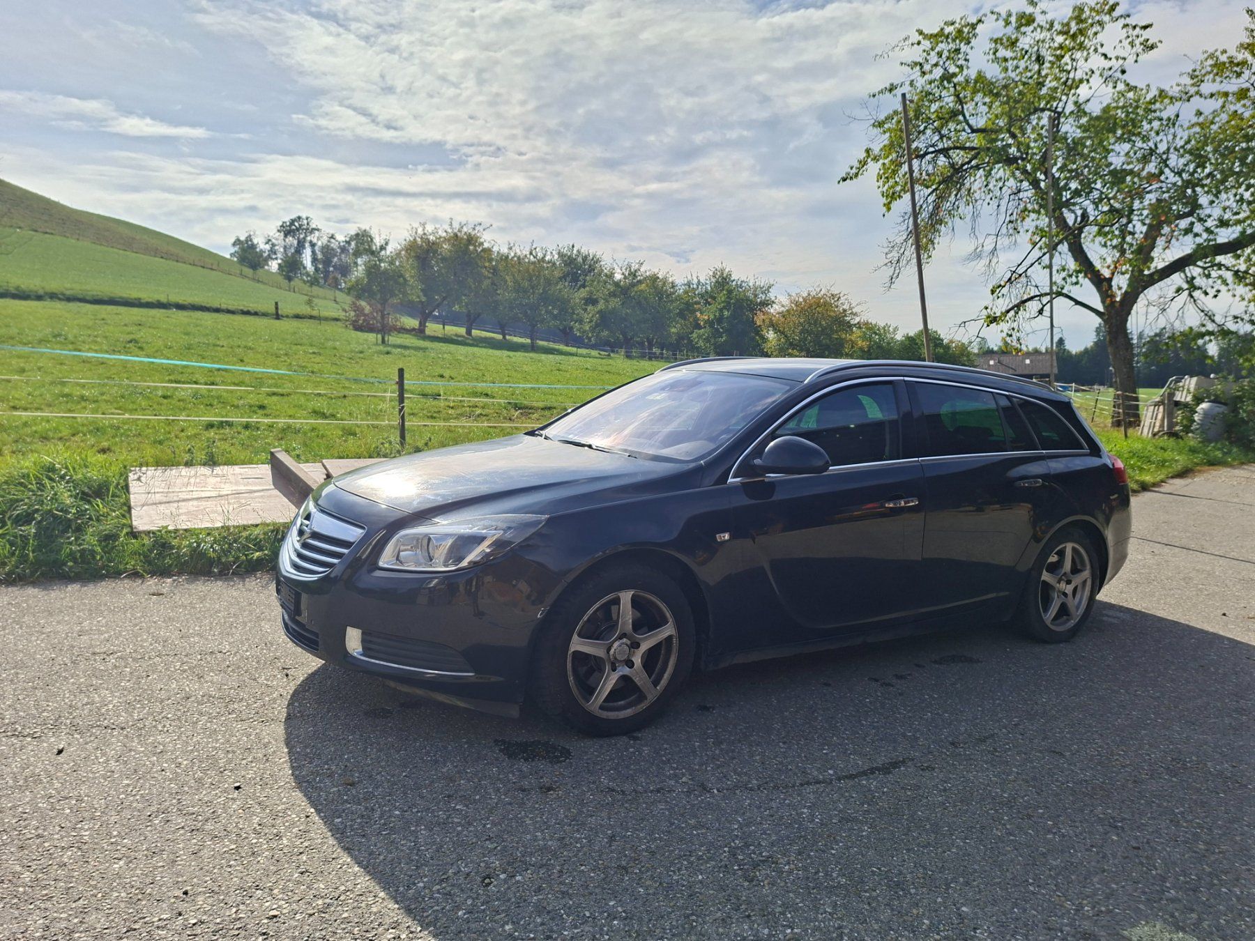 Opel Automobili: Opel Insigna A 20 T – Usato da Ettiswil venduto da ManuelaH01
