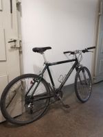 Rennvelo /Mountain bike