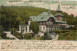 Zürich  ZH  -   Waldhaus DOLDER       um 1904