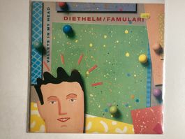 Diethelm Famulari LP - Valleys In My Head