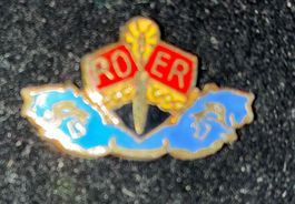 Pin Rover